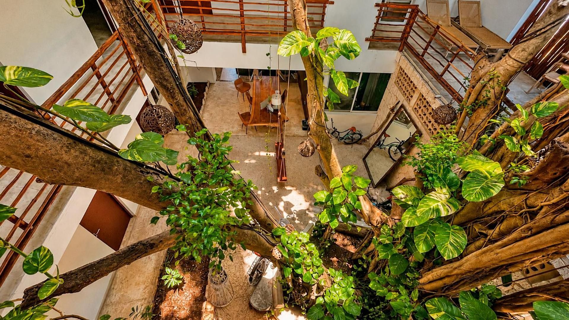 Kante - Downtown Hotel