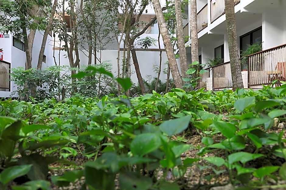 Hotel Blanco Adults Only Tulum