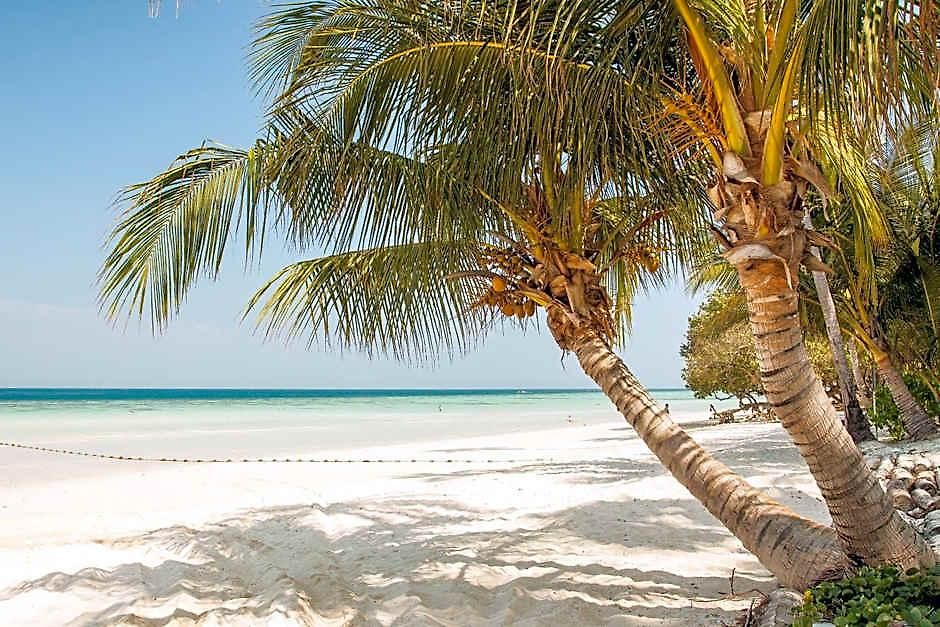 Blanco Adults Only 3* Tulum