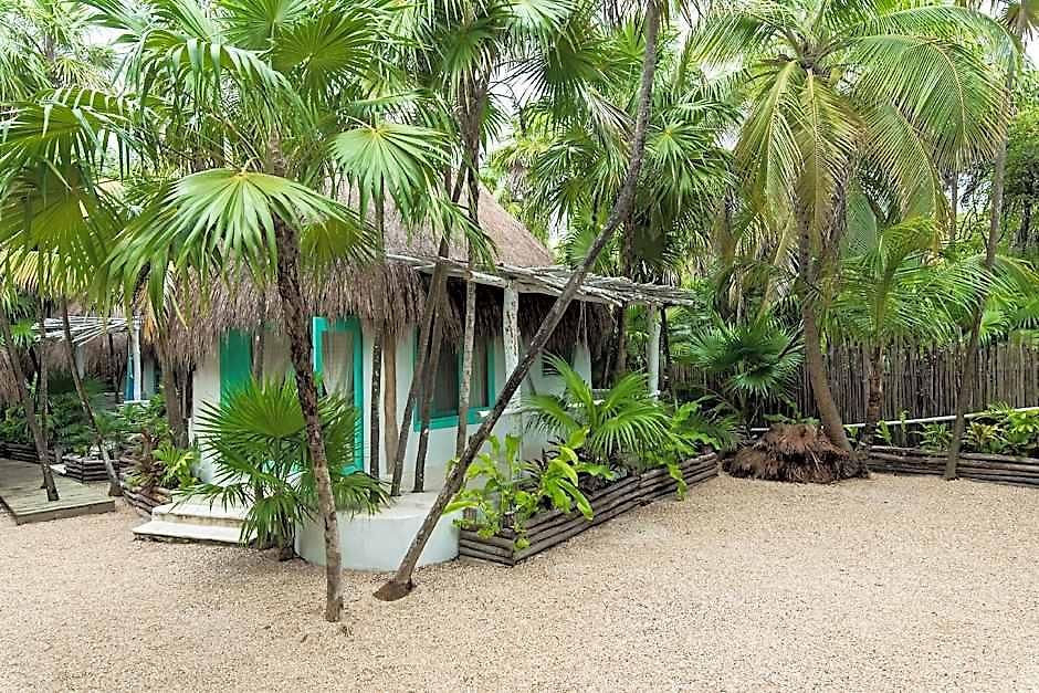 Cormoran & Cenote Hotel