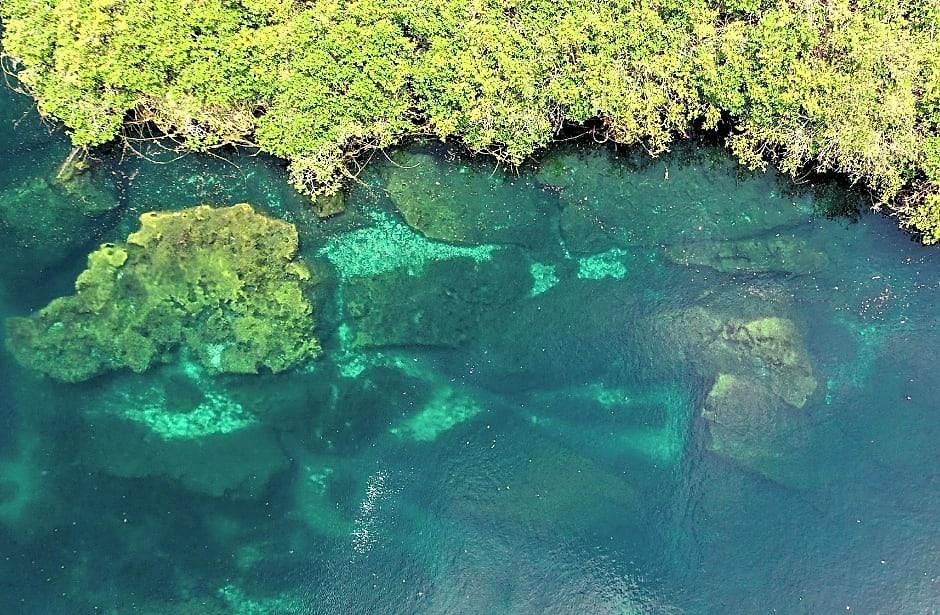 Cormoran & Cenote