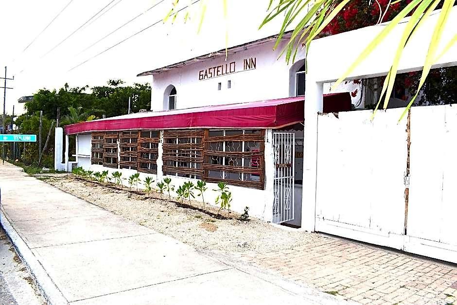 Lobo Tulum