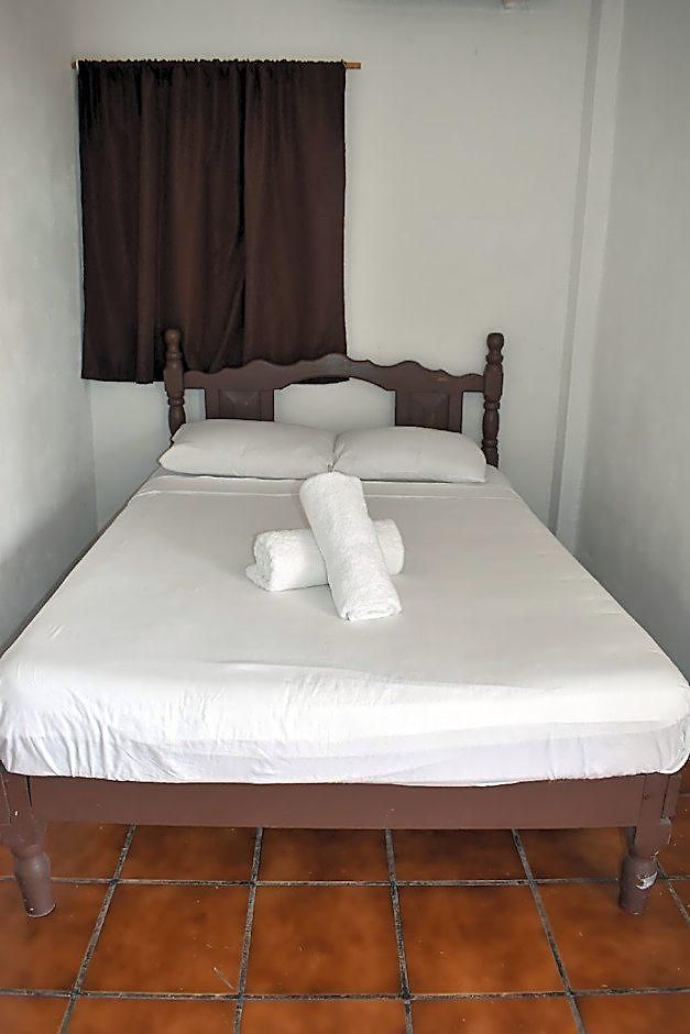 Lobo Tulum