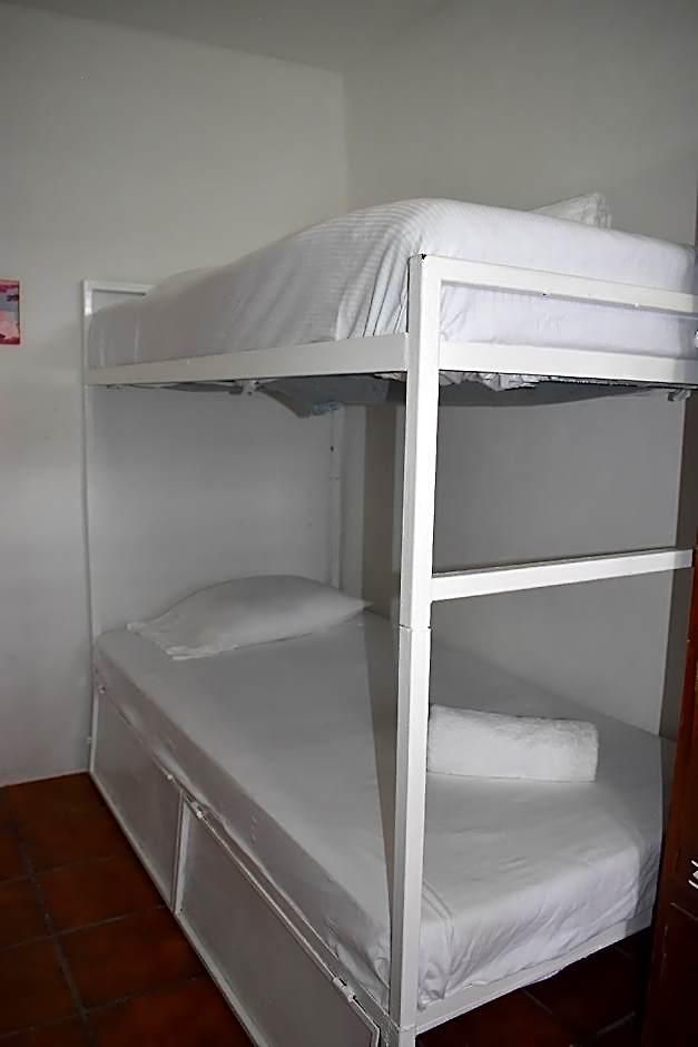 Lobo Bed & Breakfast Tulum