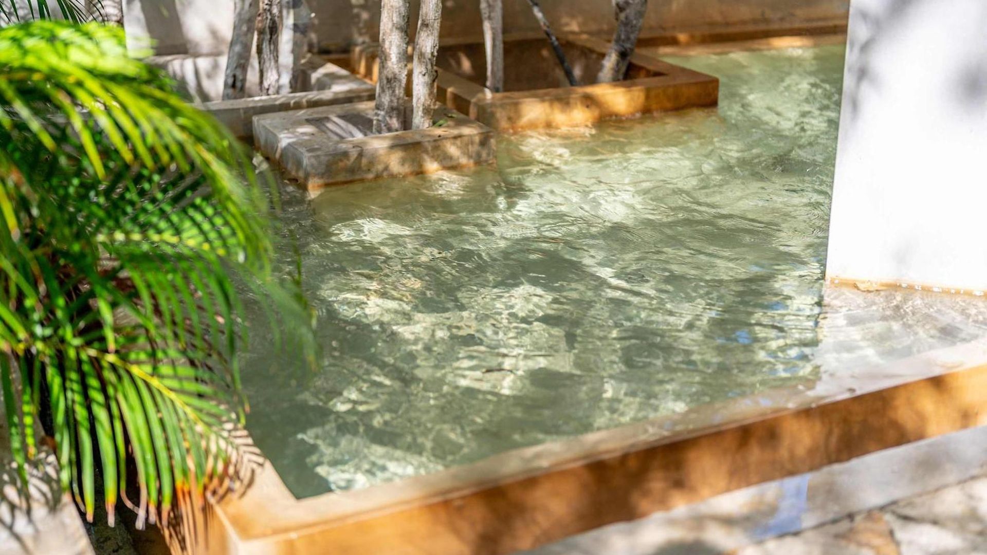 Seremonia With Rooftop Pool & Club Access Villa Tulum