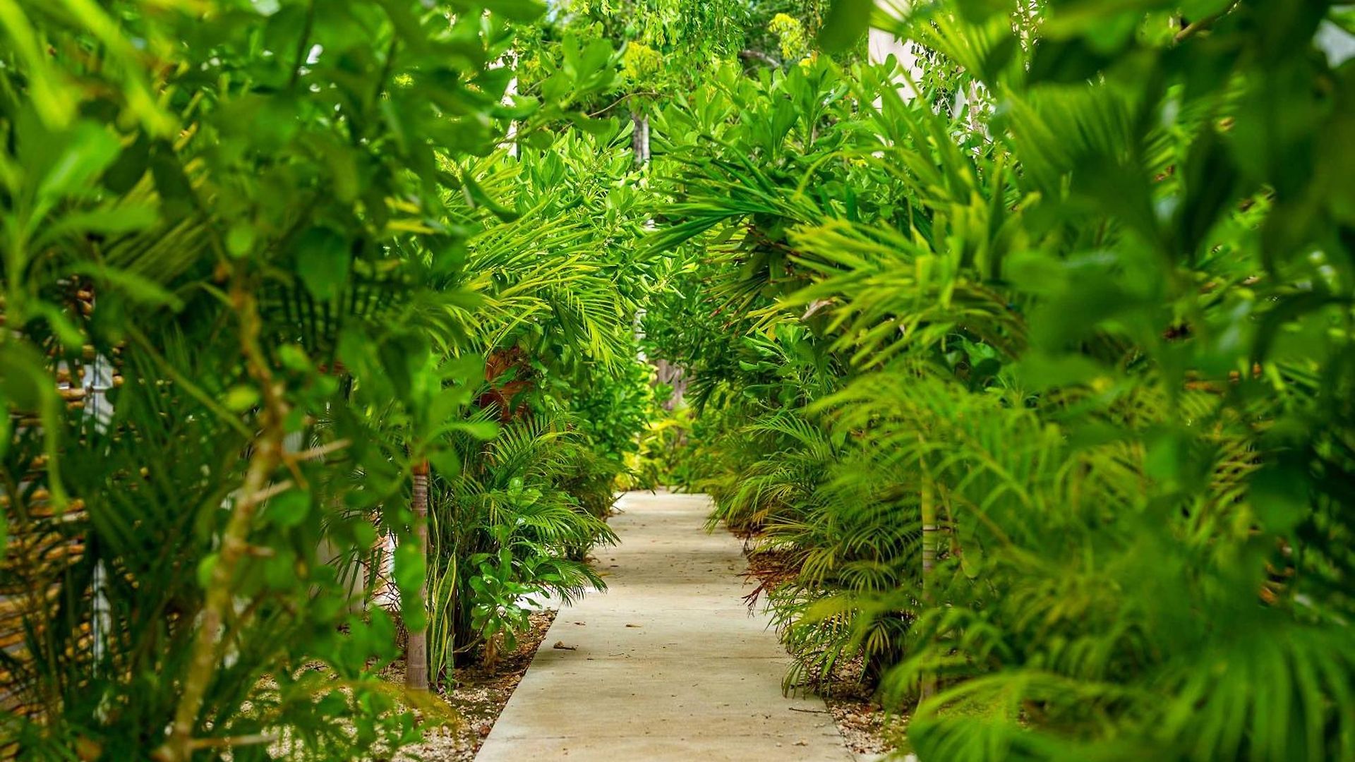 Seremonia With Rooftop Pool & Club Access Villa Tulum