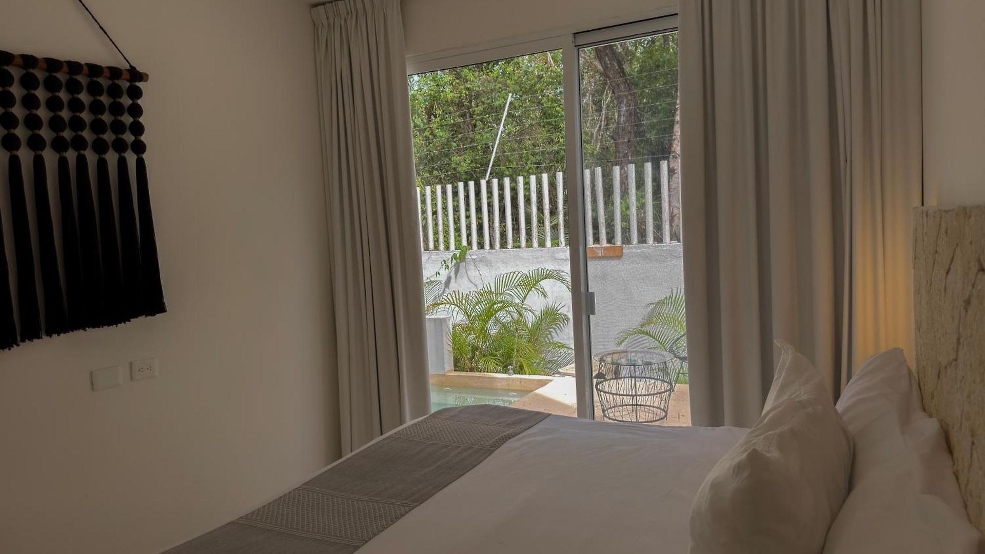 Semilla Oasis Tropical By Waves *