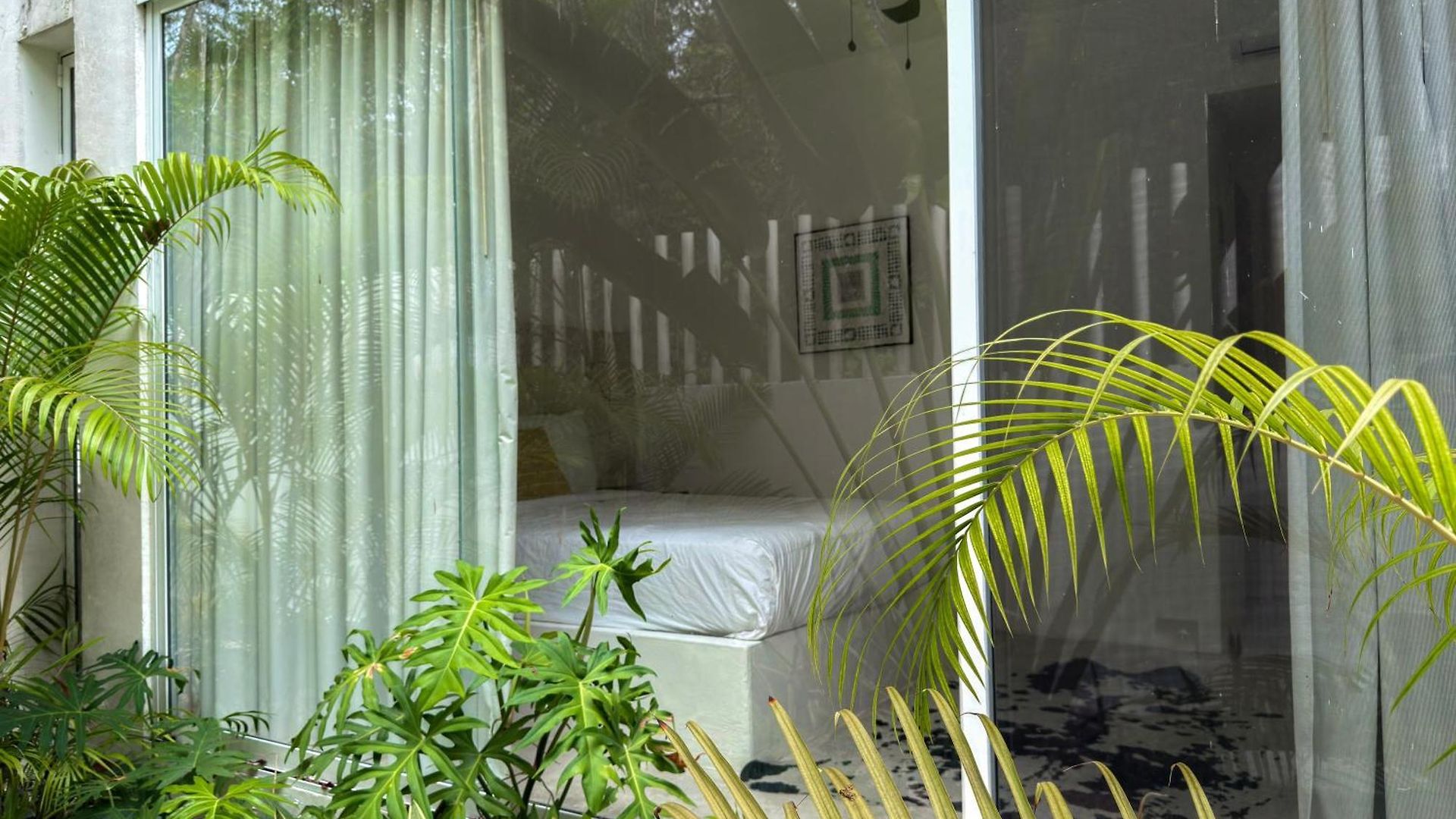 Semilla Oasis Tropical By Waves *