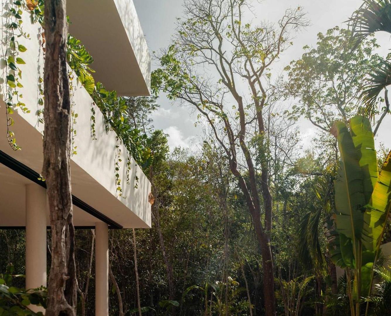 Villa Lumila Rooftop Sunset & Jungle Views