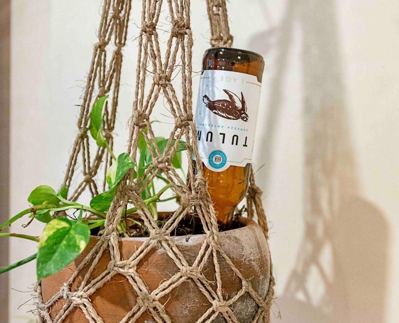 Holiday home Luxury Oasis! 2 Poolsprivate & Swimupfree Extras Tulum