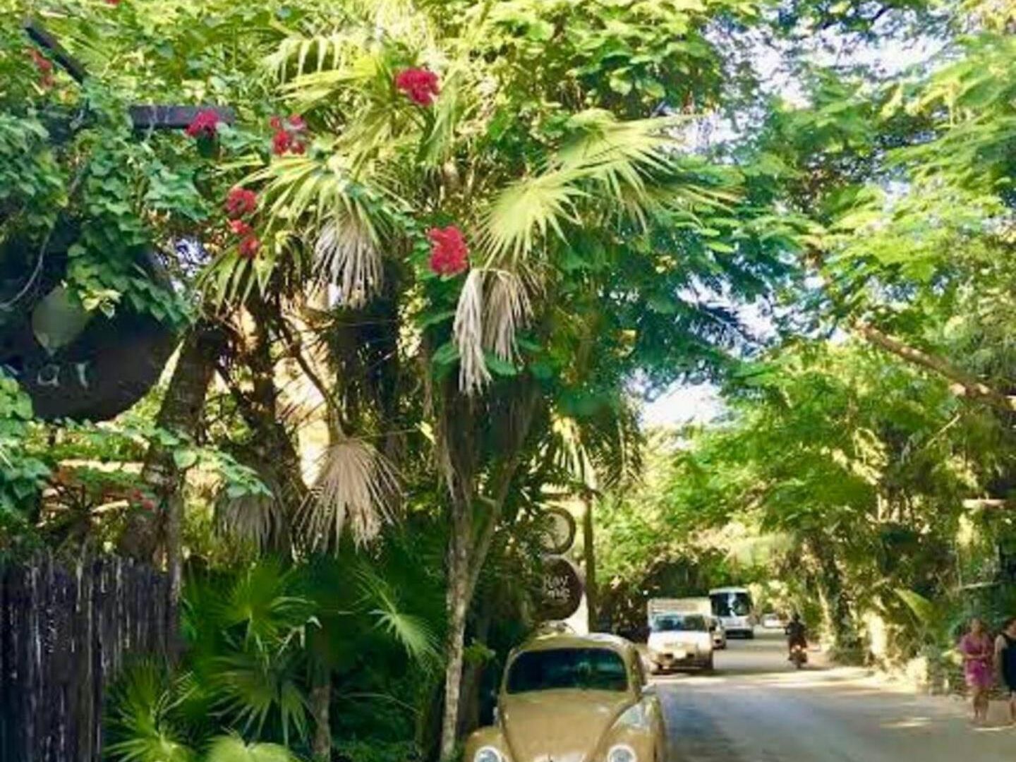 Luxury Oasis! 2 Poolsprivate & Swimupfree Extras