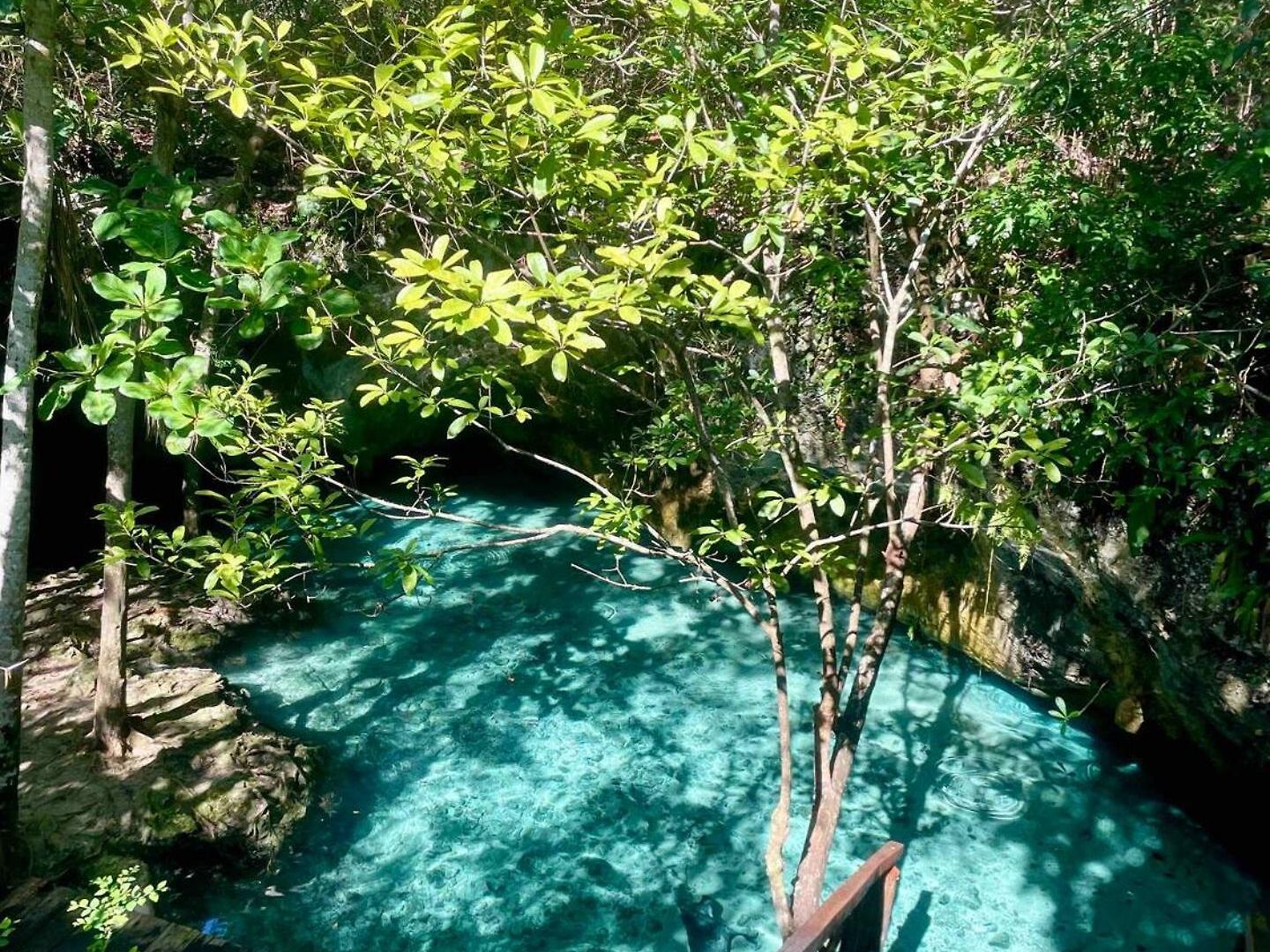 Luxury Oasis! 2 Poolsprivate & Swimupfree Extras *
