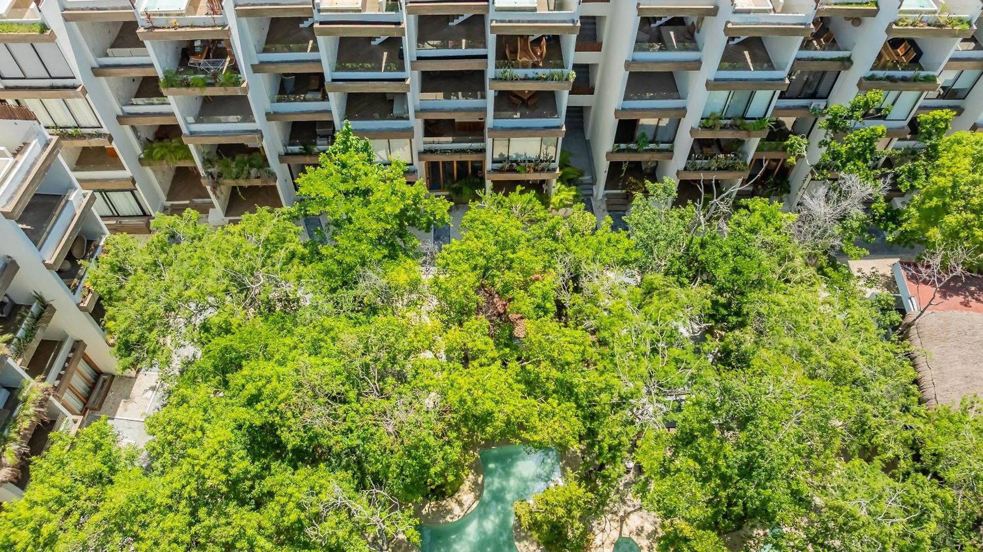 Apartment Tullum Bee Tulum