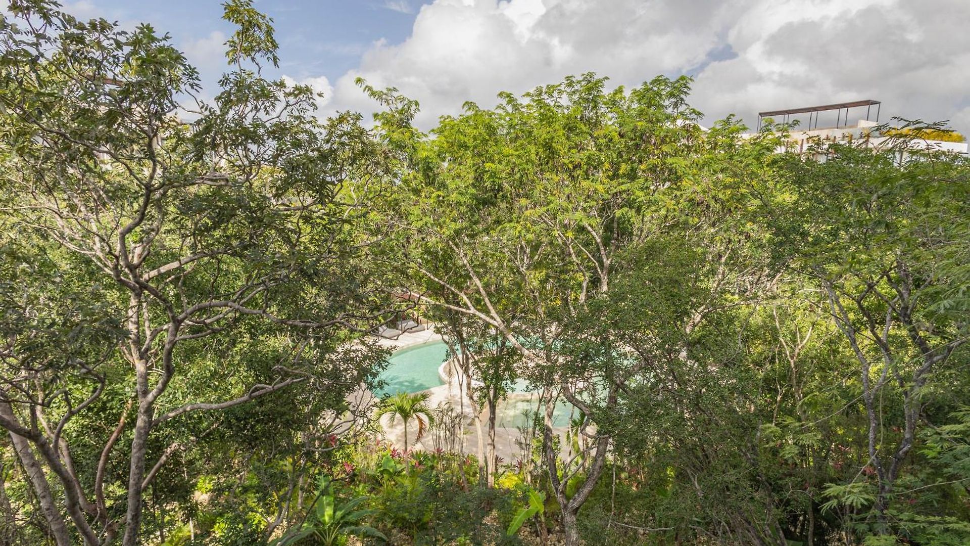 Apartment 2br Jungle Penthouse Private Pool *