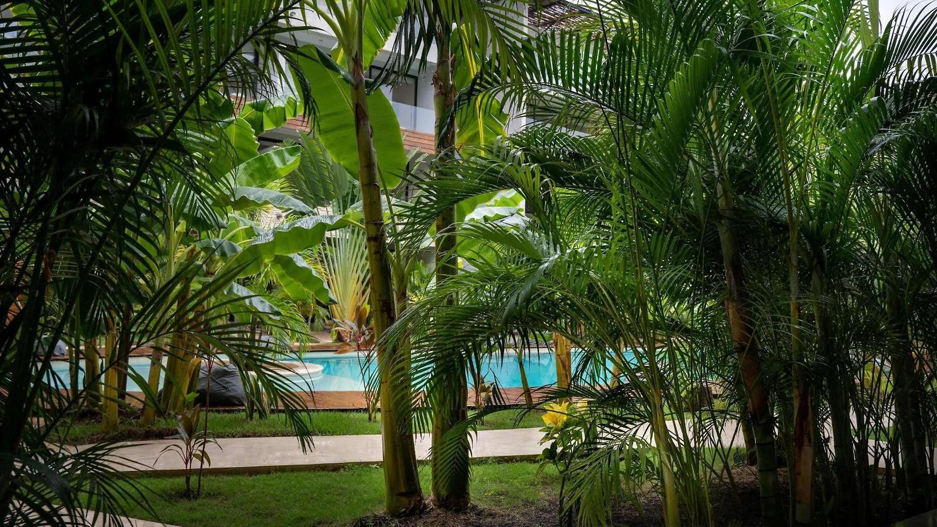 Hideaway With Private Pool * Tulum