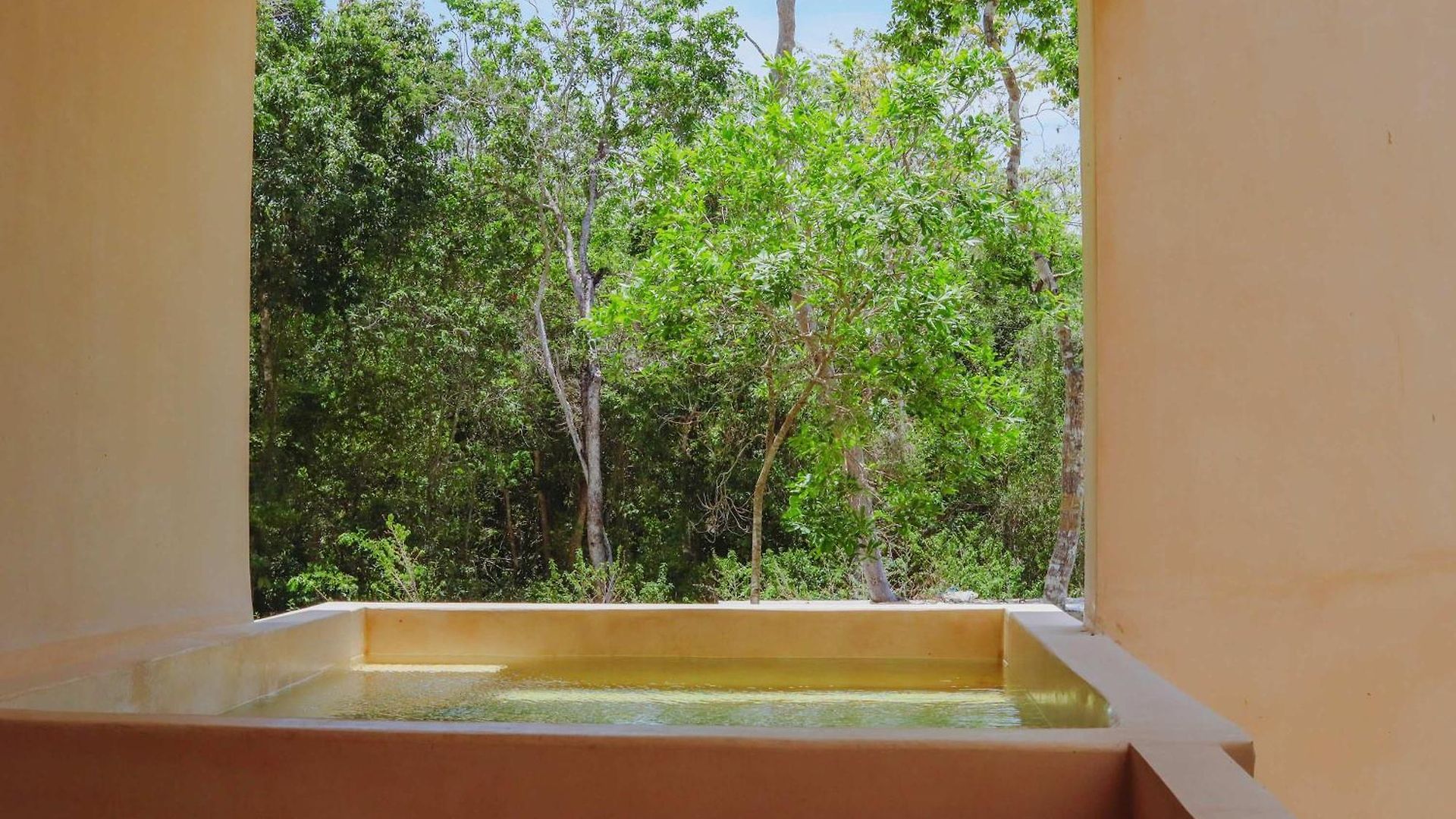Apartment Chic Jungle Balcony Priv Pool Steam & Gym Tulum