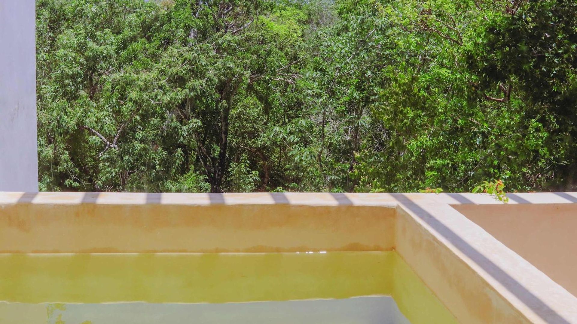 Chic Jungle Balcony Priv Pool Steam & Gym * Tulum