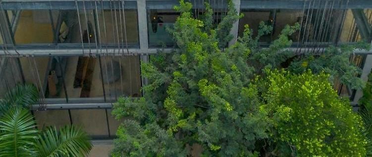 Apartment Sasil Luxury Iik