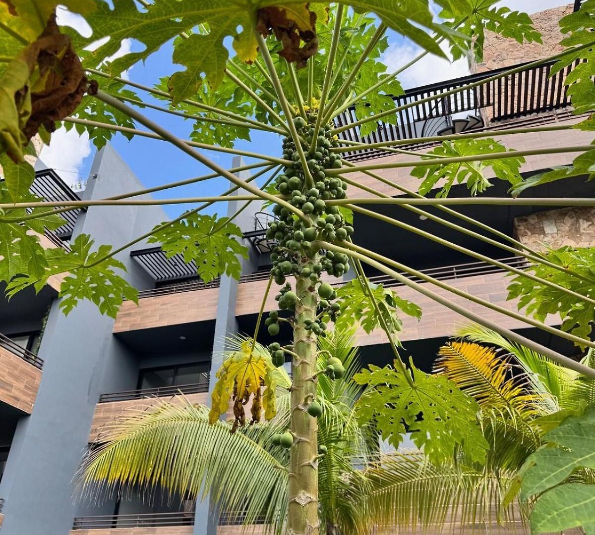2 Bed Penthouse Private Rooftop