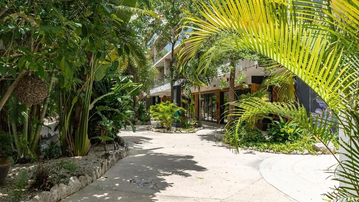 Apartment Oasis Penthouse In Tuk Private Pool Tulum