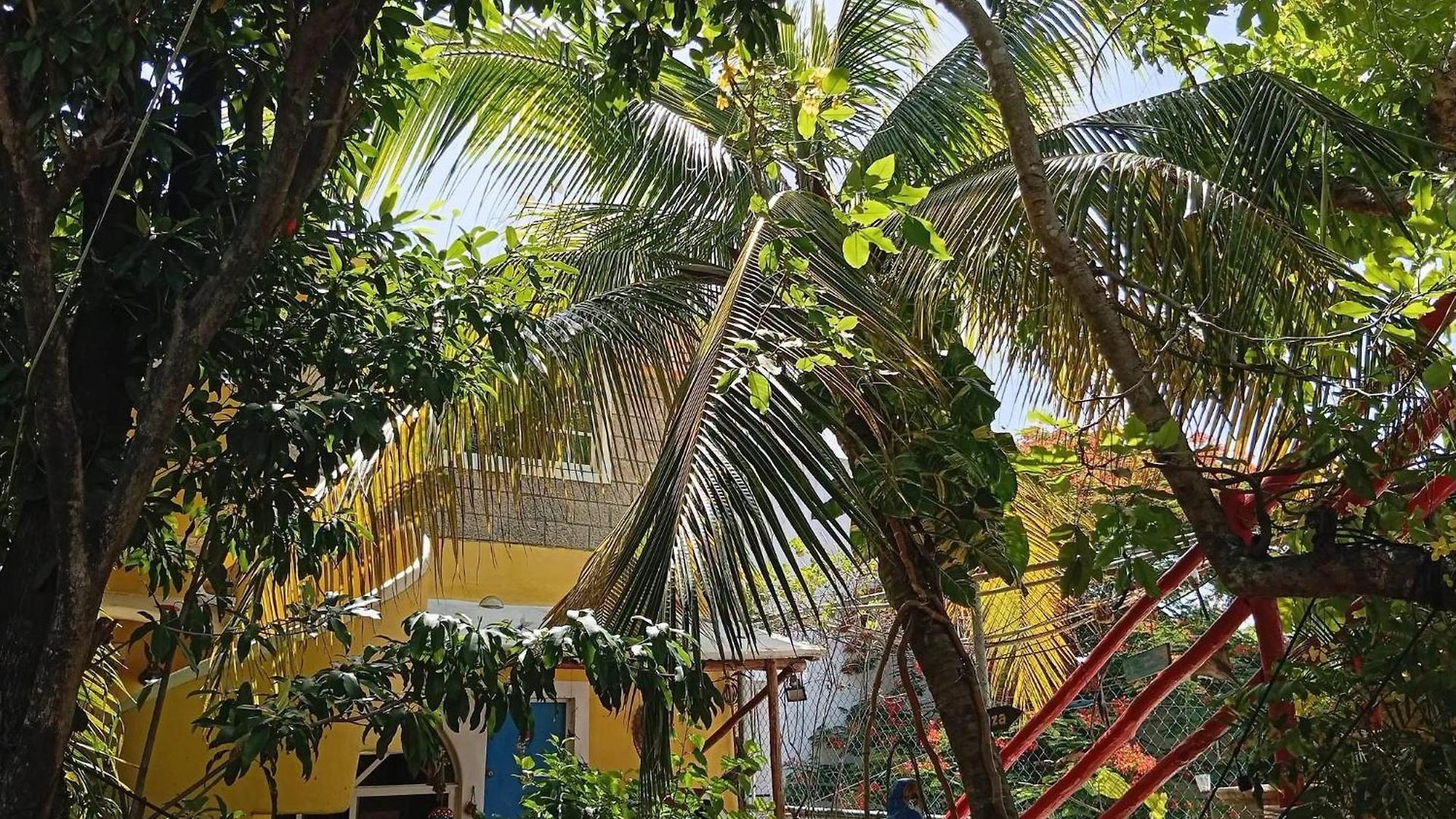 Maison Hotel Tulum