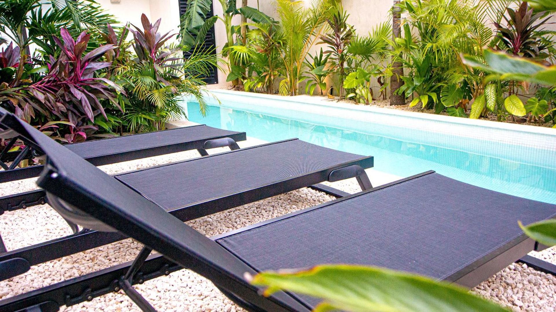Aldea Zama Loft With Pool 10min Away From The * Tulum