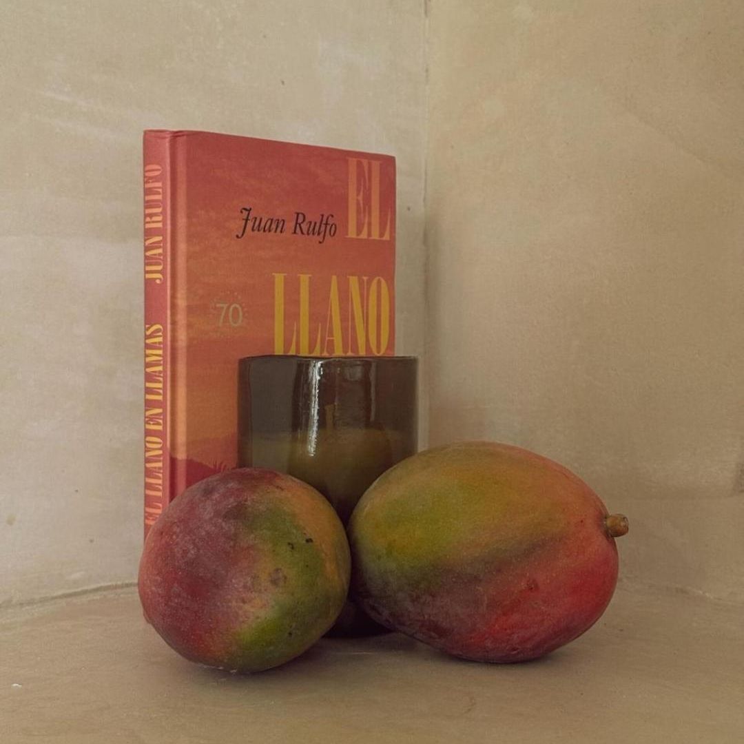 Aahal 4 Holistic Living Retreat En 4pax Tulum