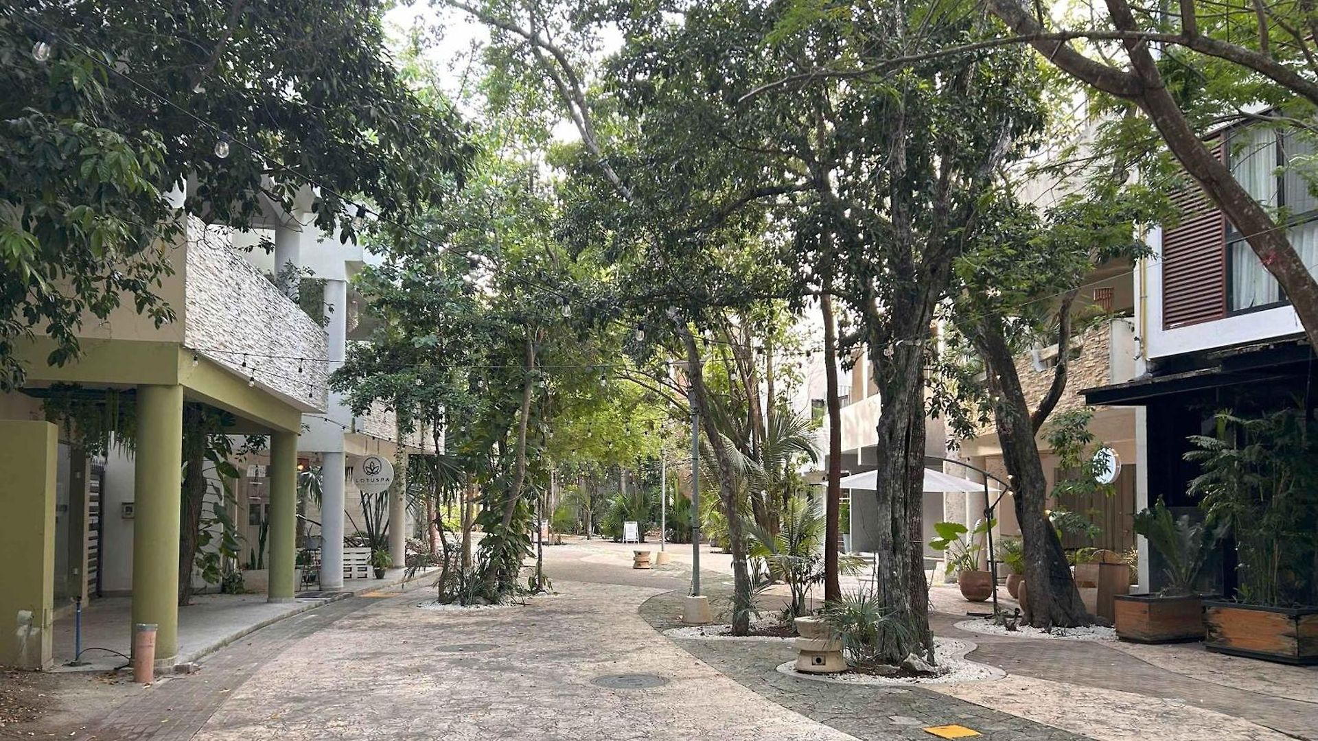 Tulumaya Boho Luxe In Aldea Zama Concierge Holiday home Tulum