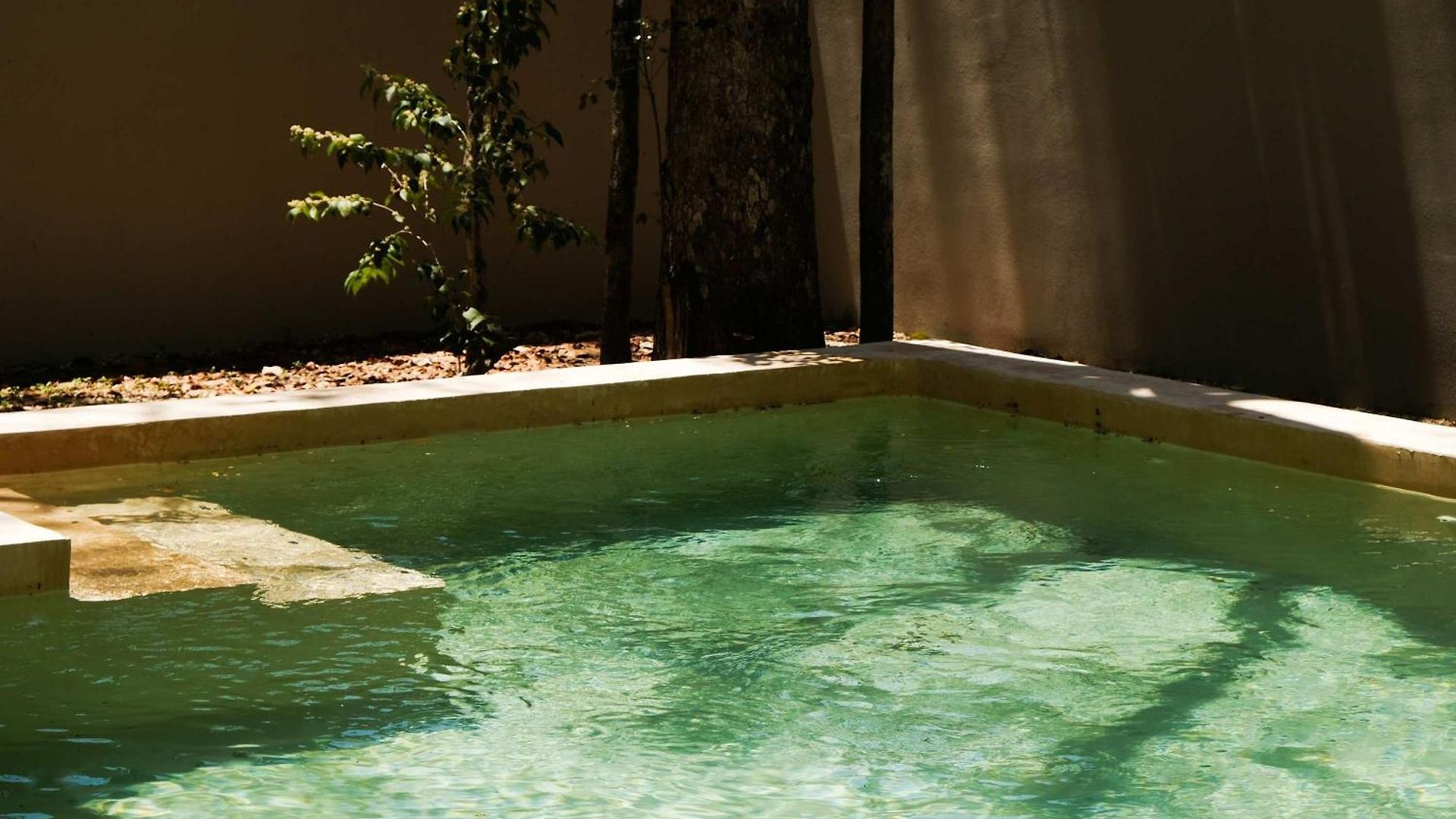 Jungle 4br Private Pool