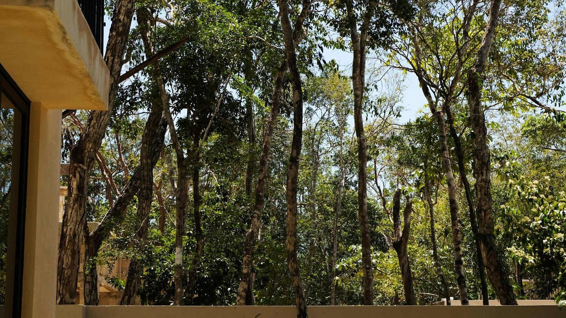 Jungle 4br Private Pool Holiday home