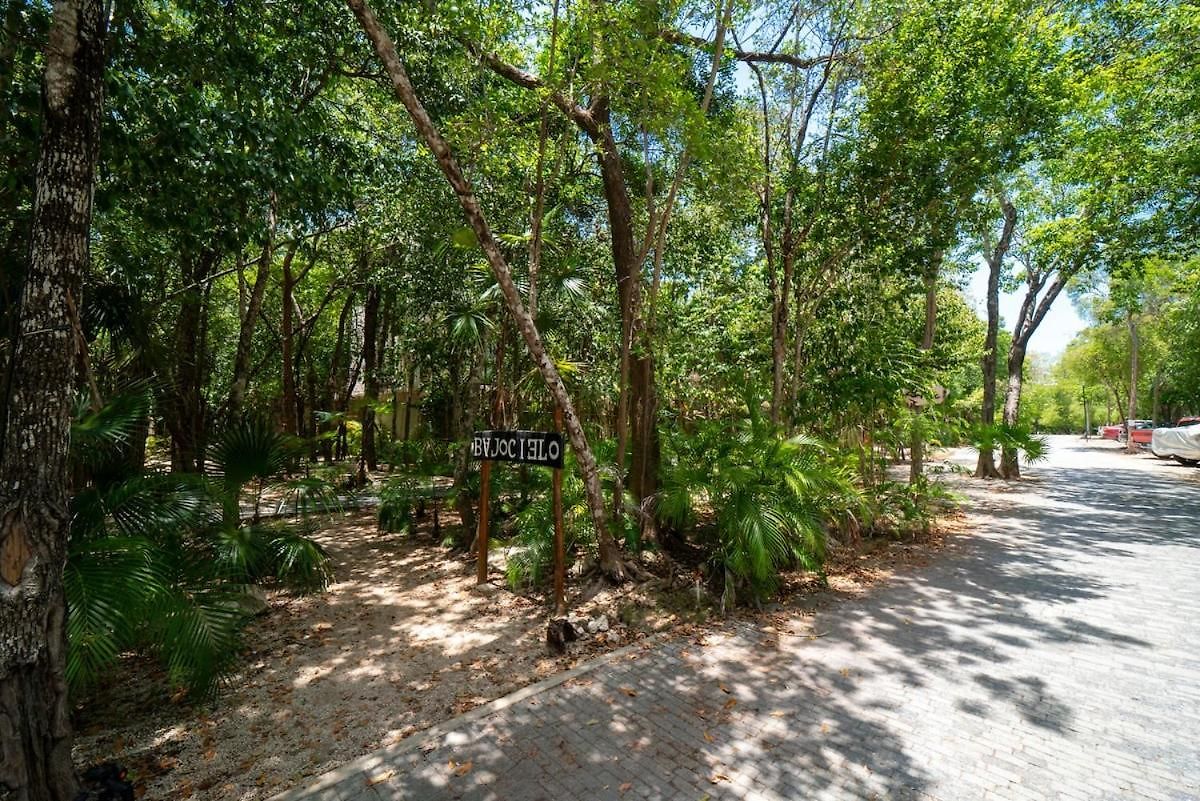Holiday home Your In The Mayan Jungle Private Pool, 2 Bedrooms