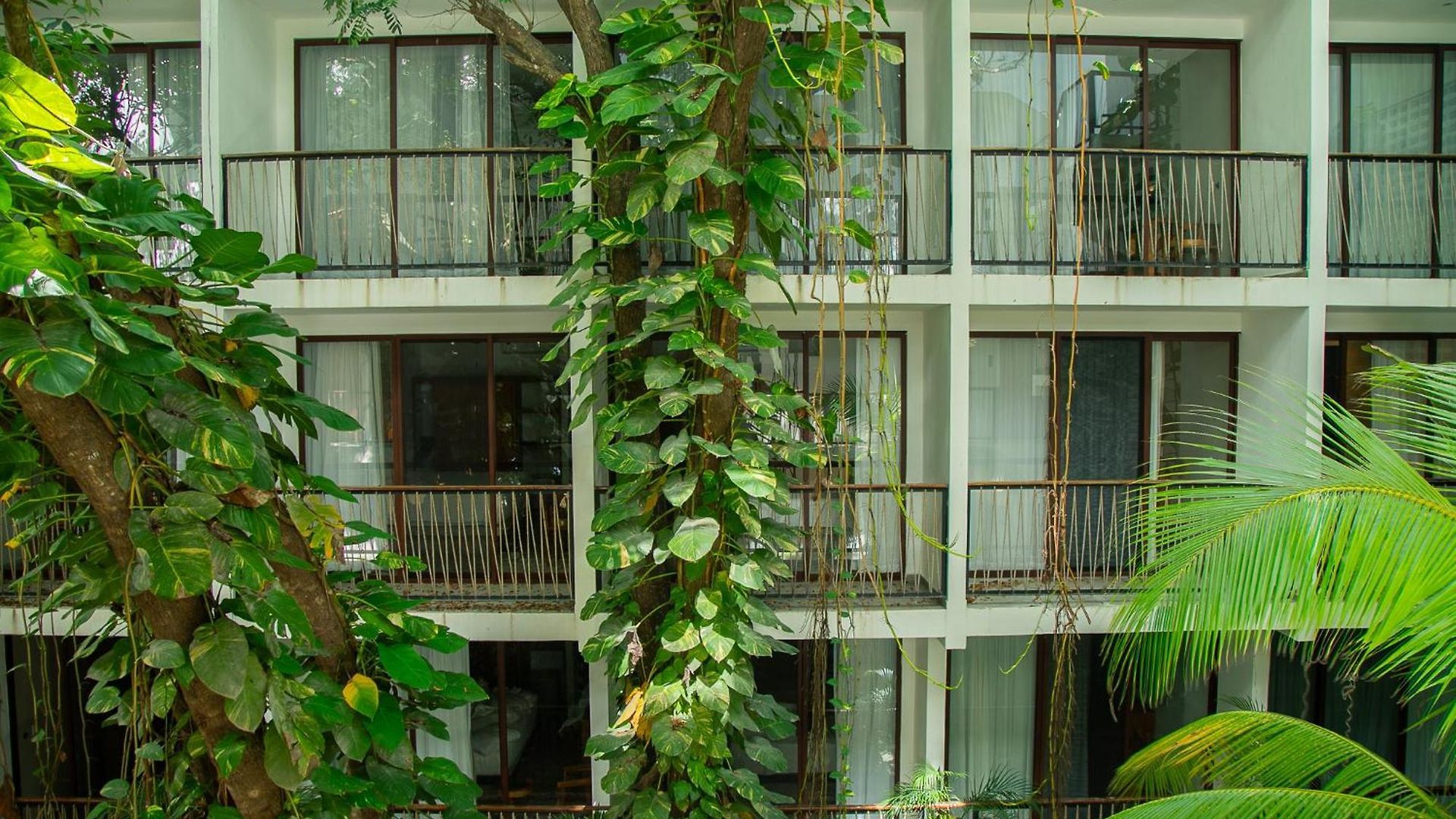 Hotel Hotel Blanco Tulum