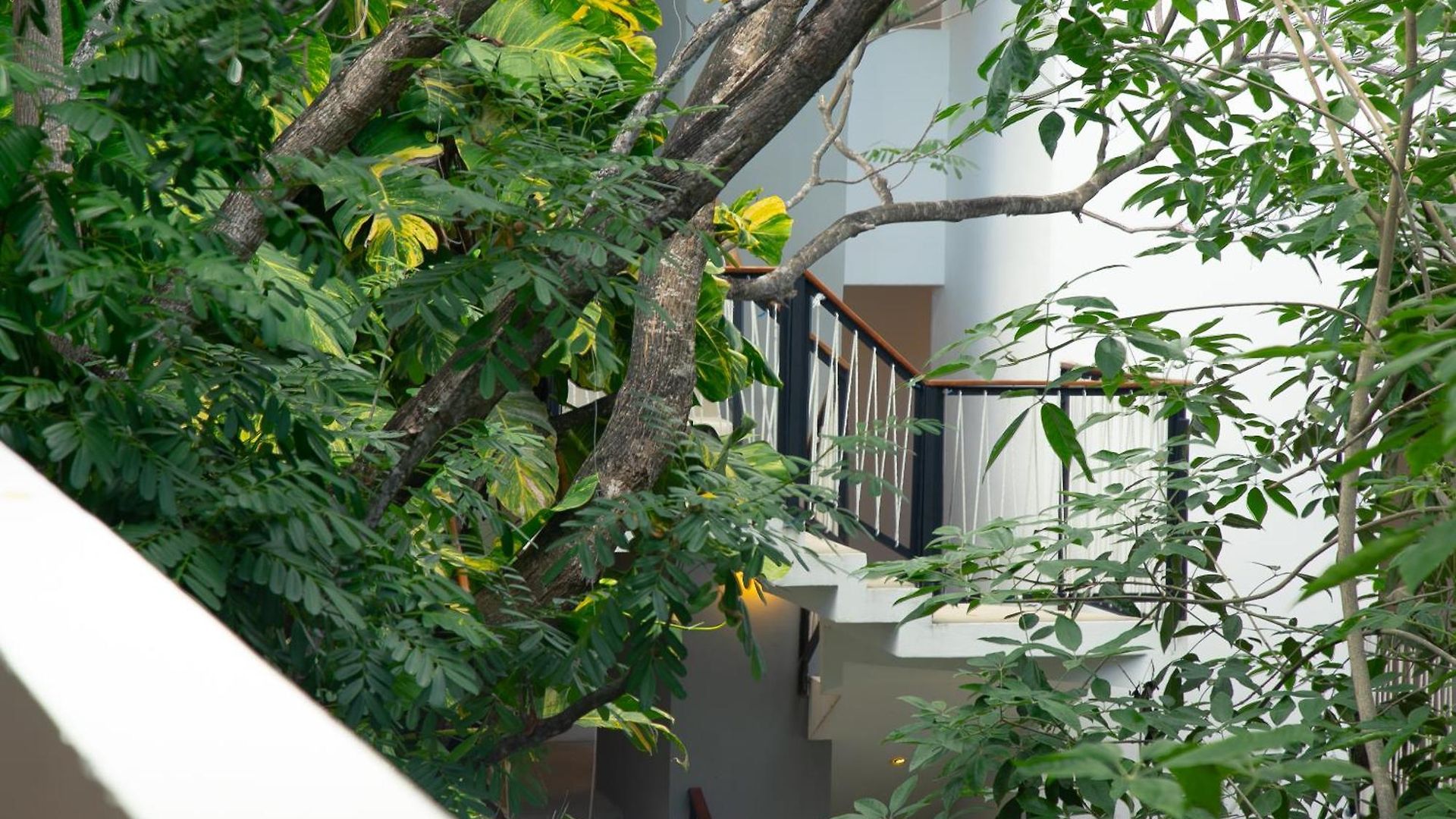Hotel Hotel Blanco Tulum 3*