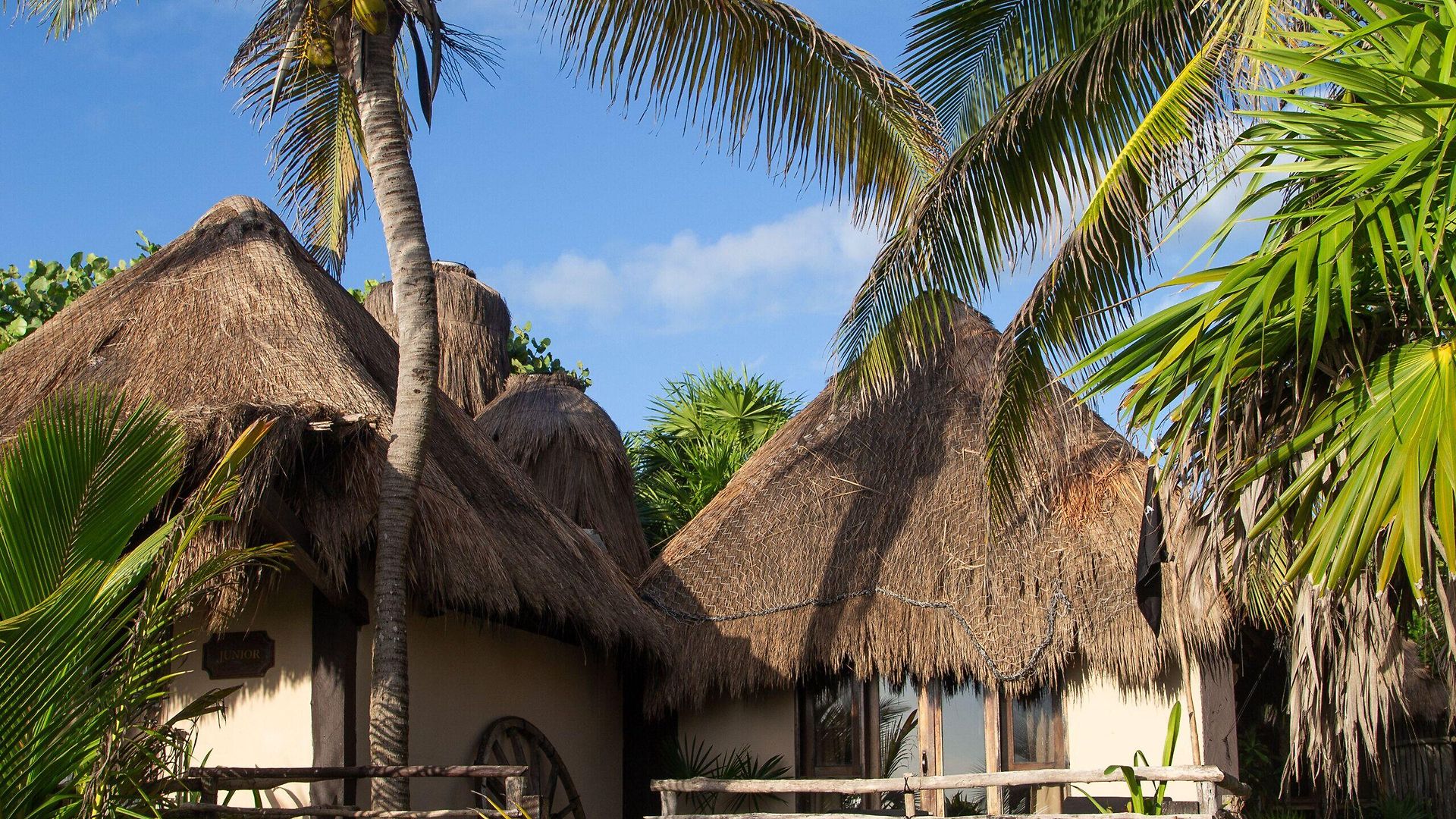 Hotel Playa Esperanza 4*