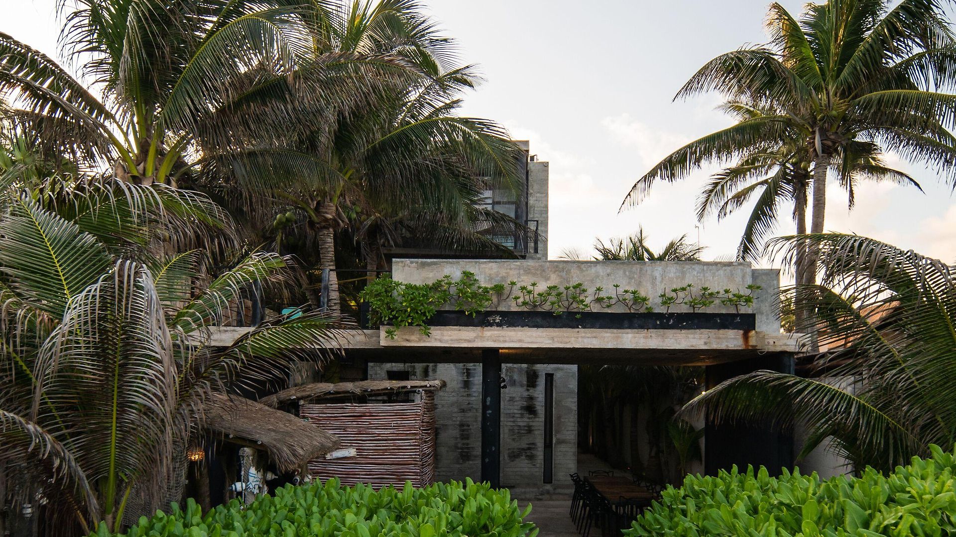 Tropicalito * Tulum