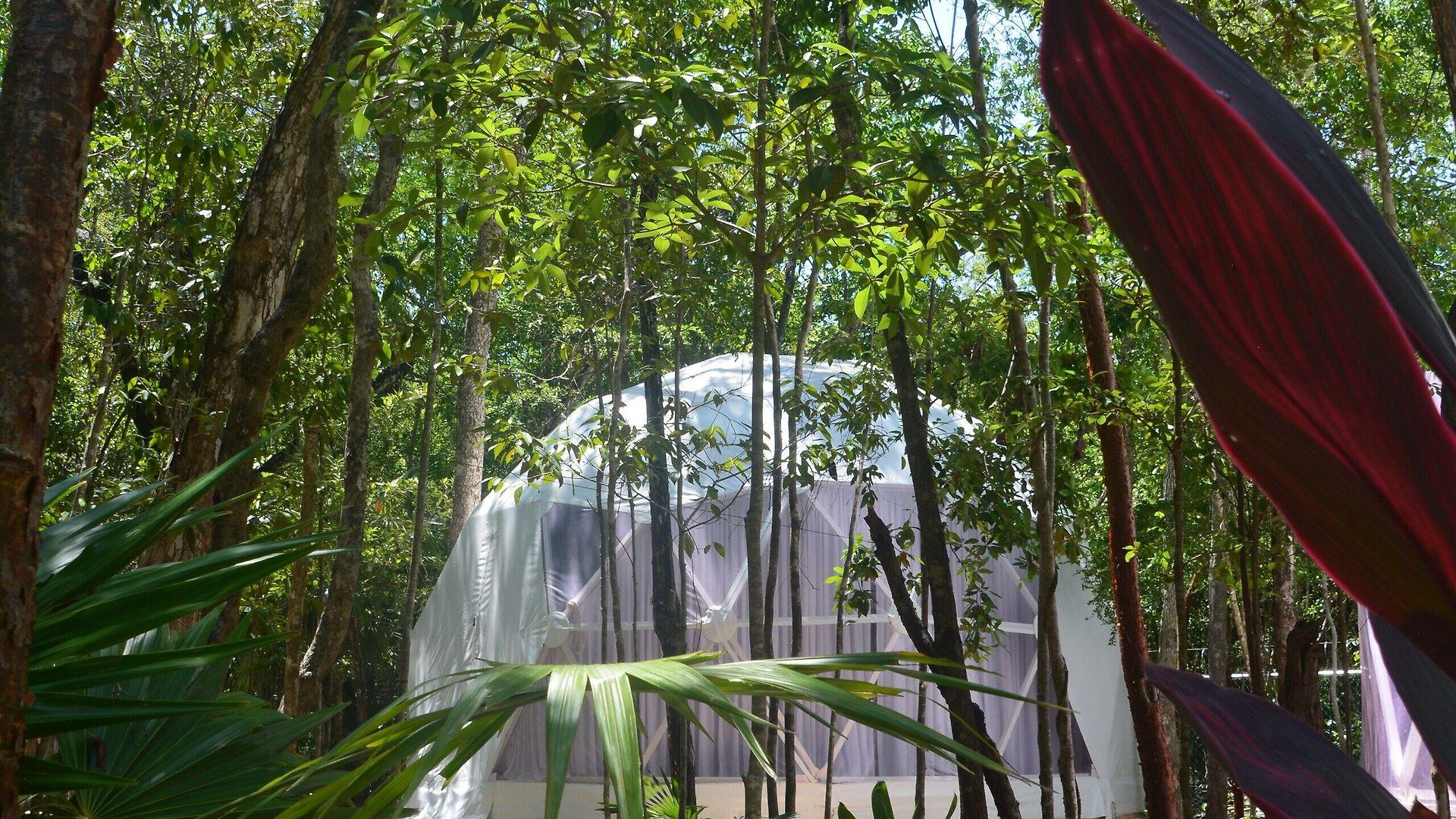 Luxury tent Glamping Mayan Glam Tulum