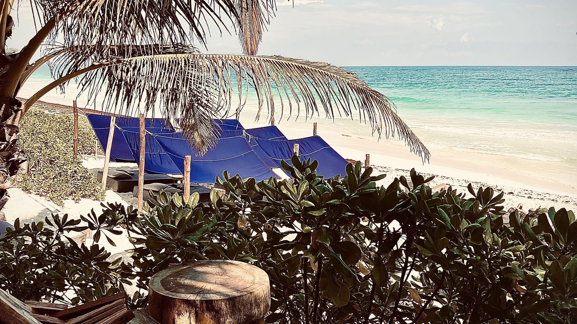 Hotel Libelula Beachfront 4*