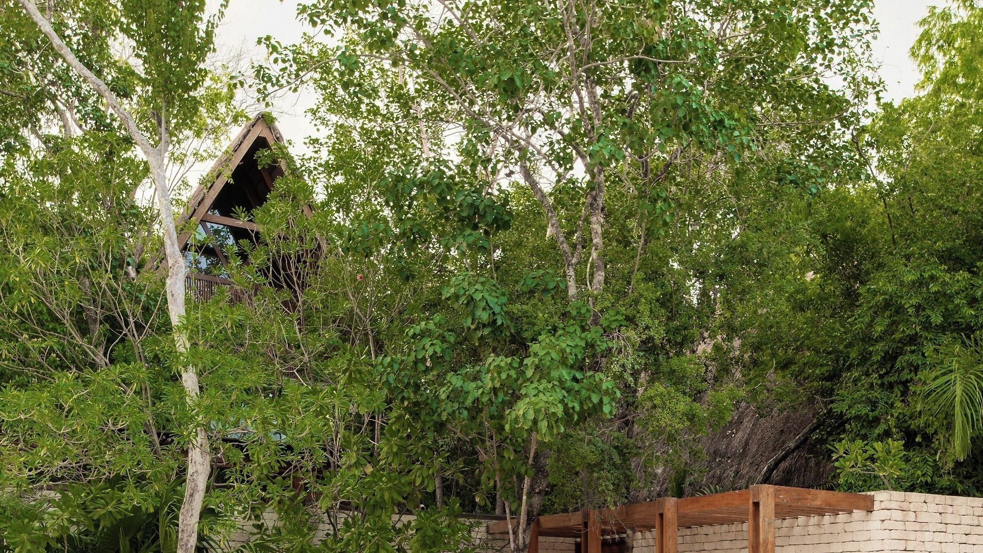 Jungle Keva & Venue Tulum