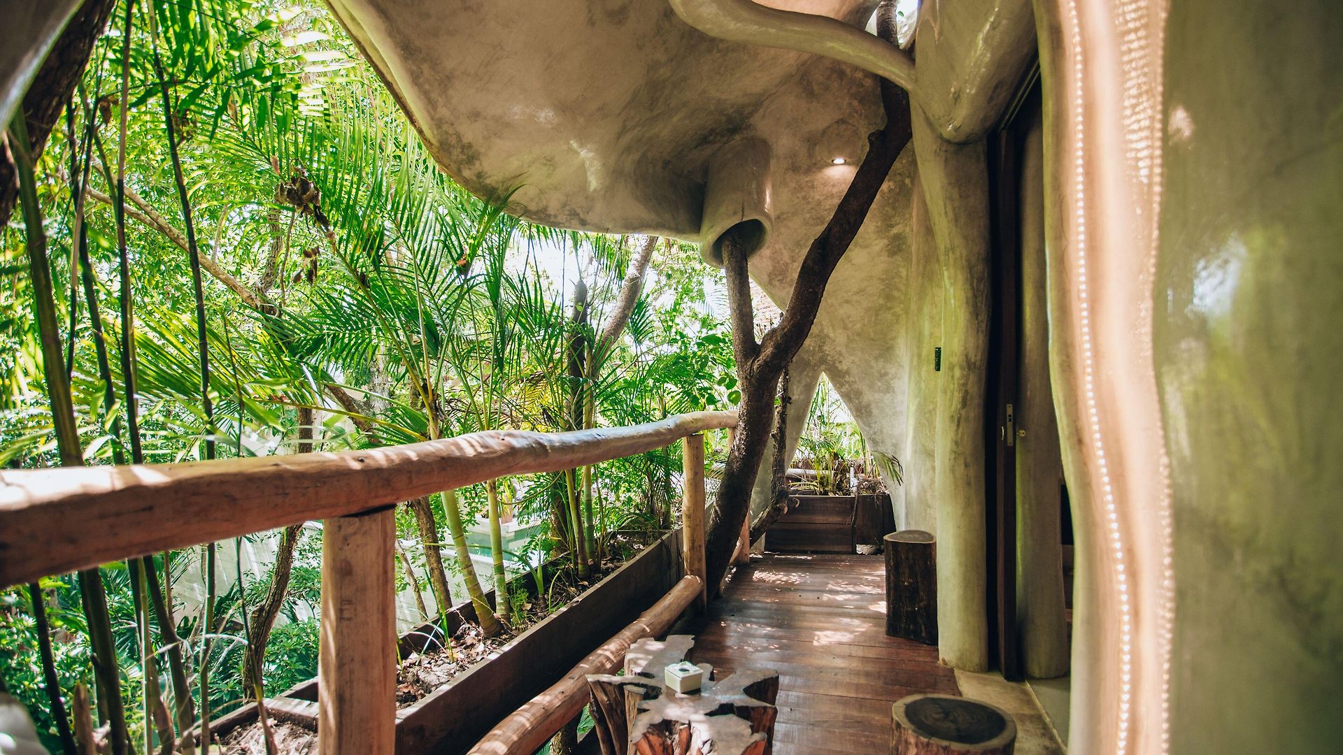 Hotel Orchid House Jungle