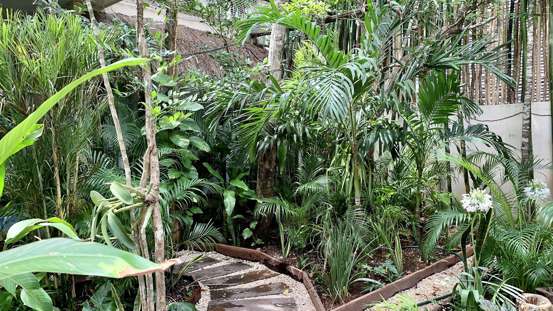 Orchid House Jungle 5*