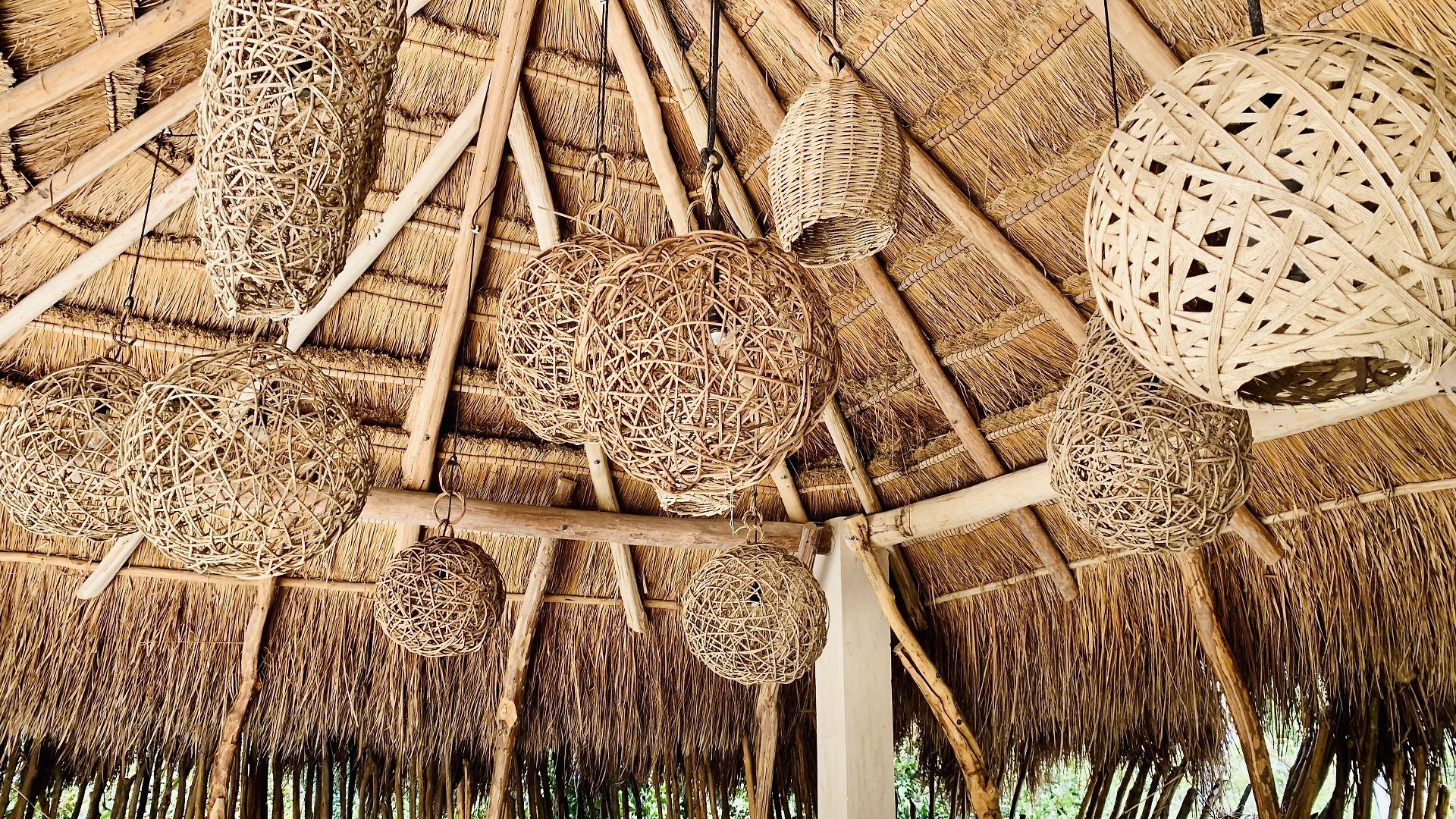 Hotel Orchid House Jungle 5*