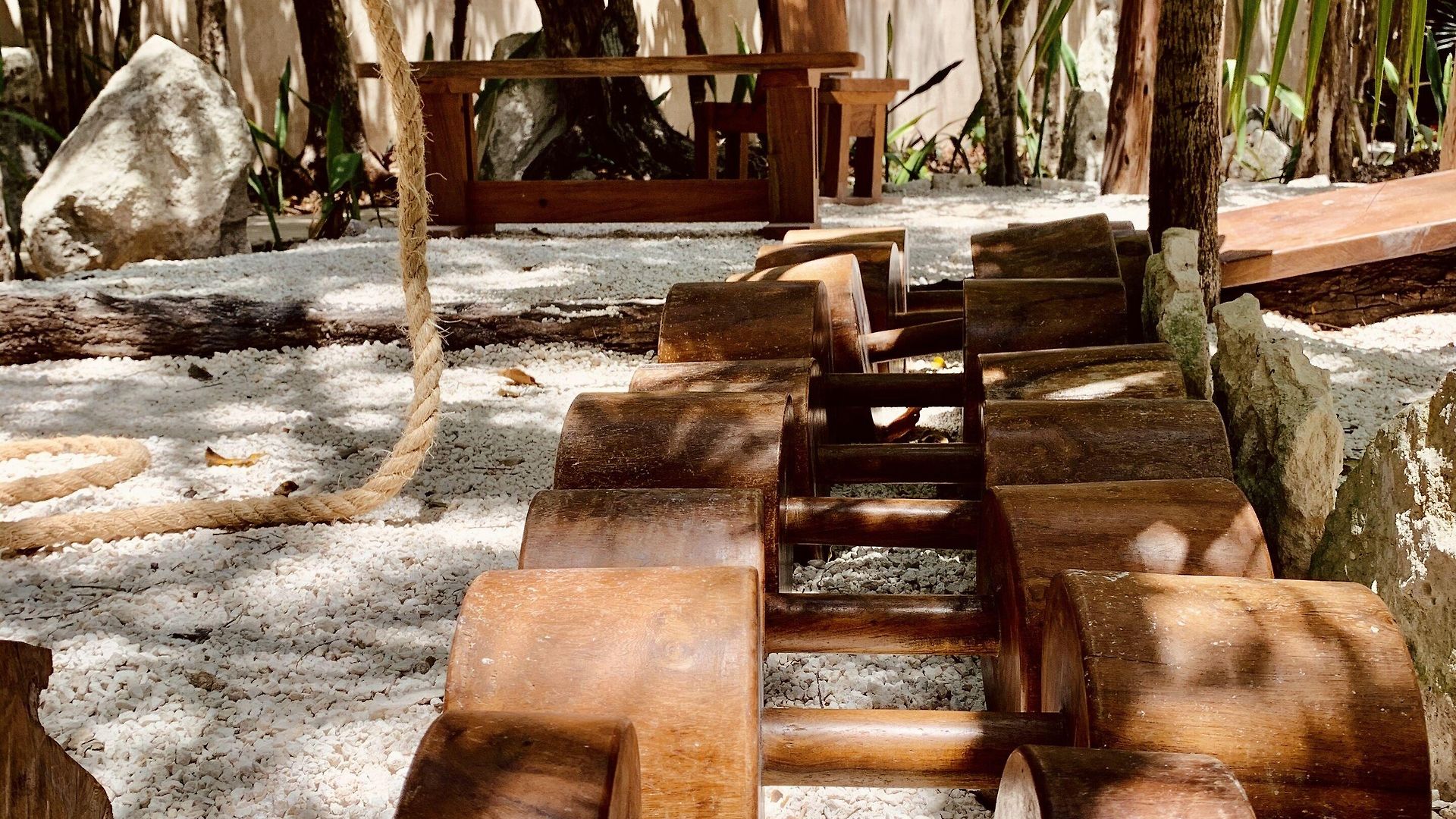 Bufo Alvarius Hotel Tulum