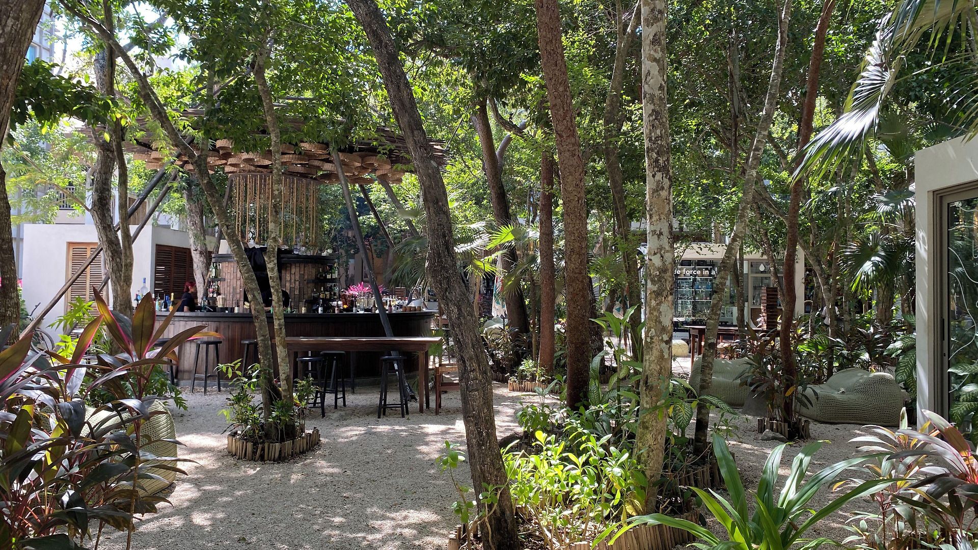 Motto By Hilton Hotel Tulum