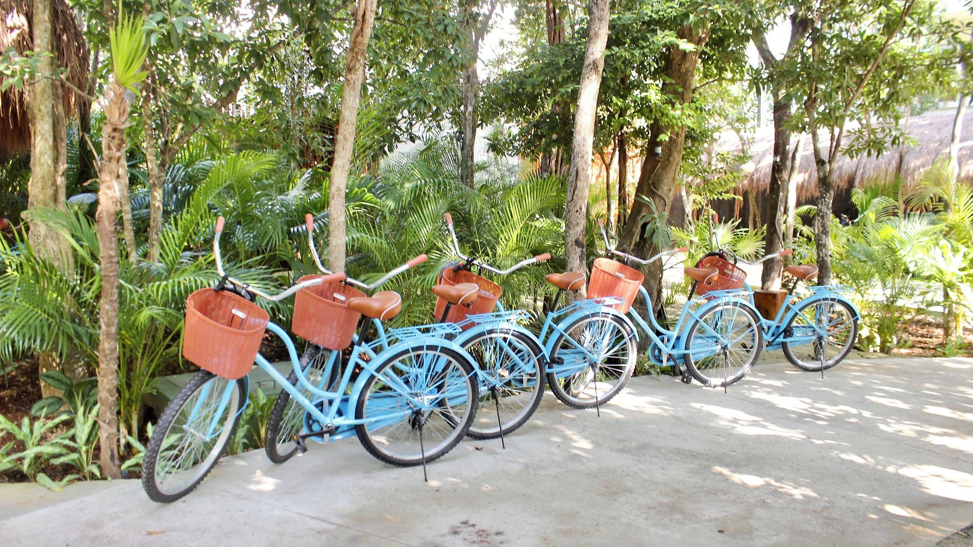 Hotel Aluna Tulum