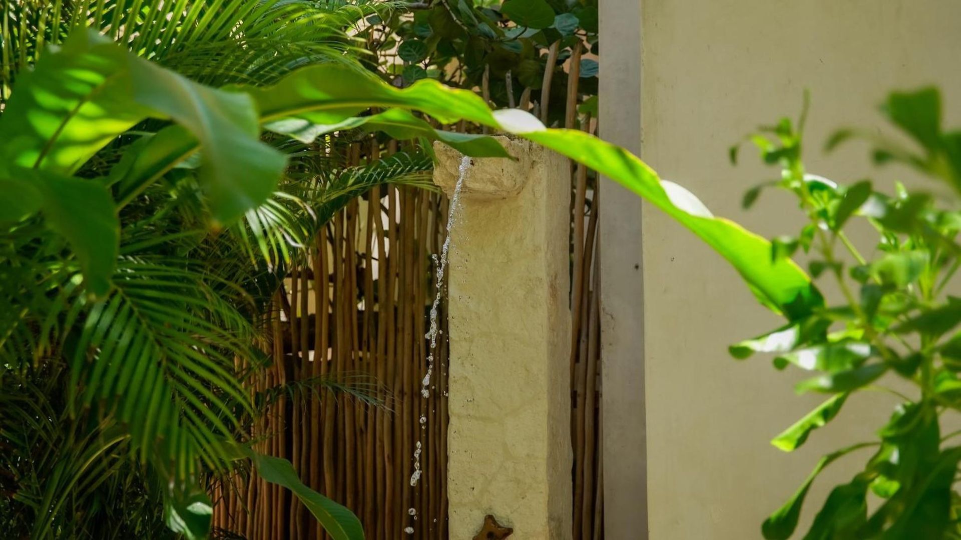 Azucar Tulum