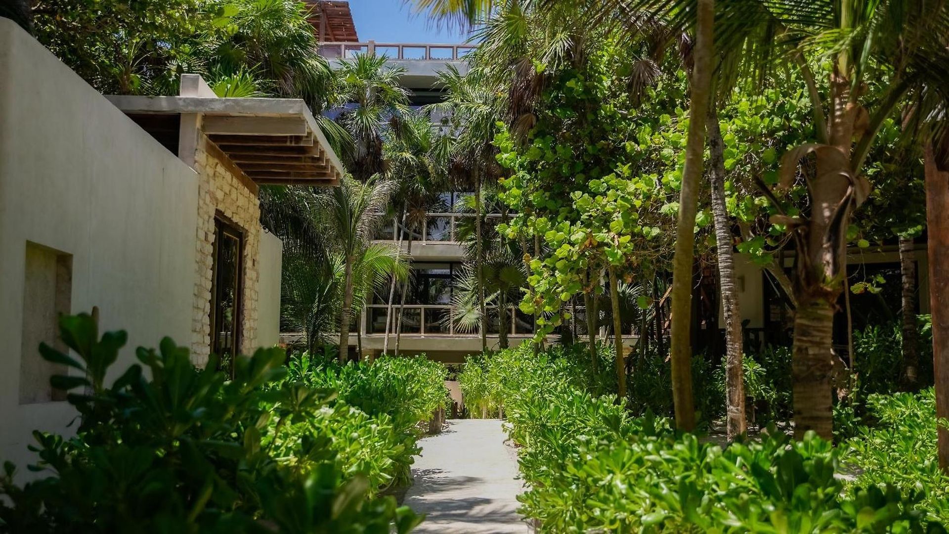 Azucar Hotel Tulum