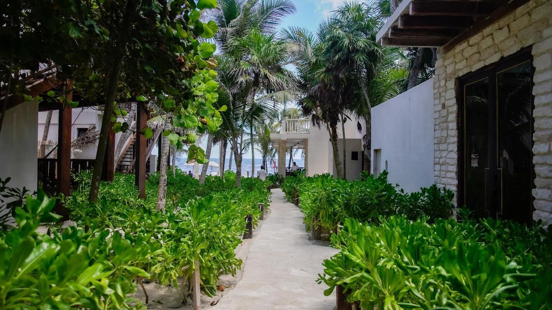 Azucar Tulum