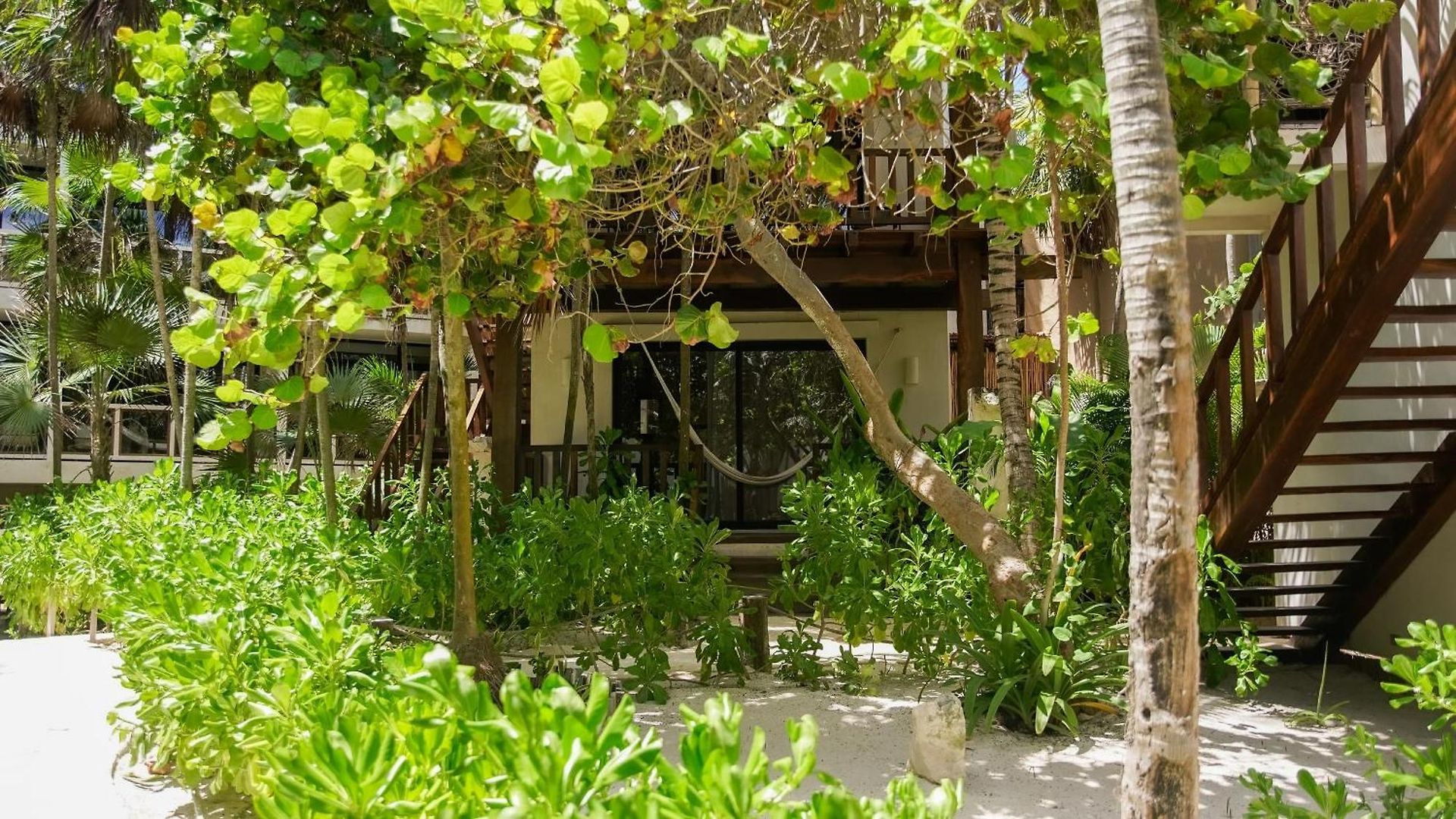 Azucar Tulum
