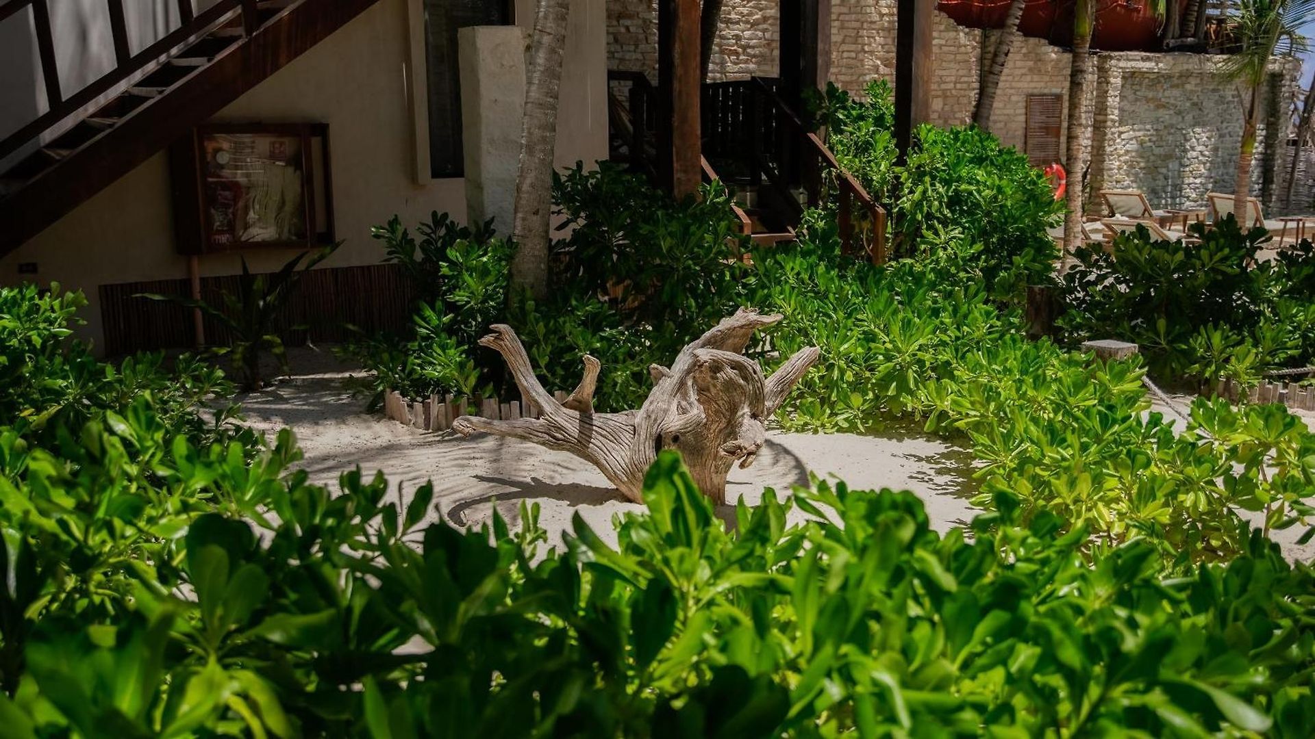 Hotel Azucar