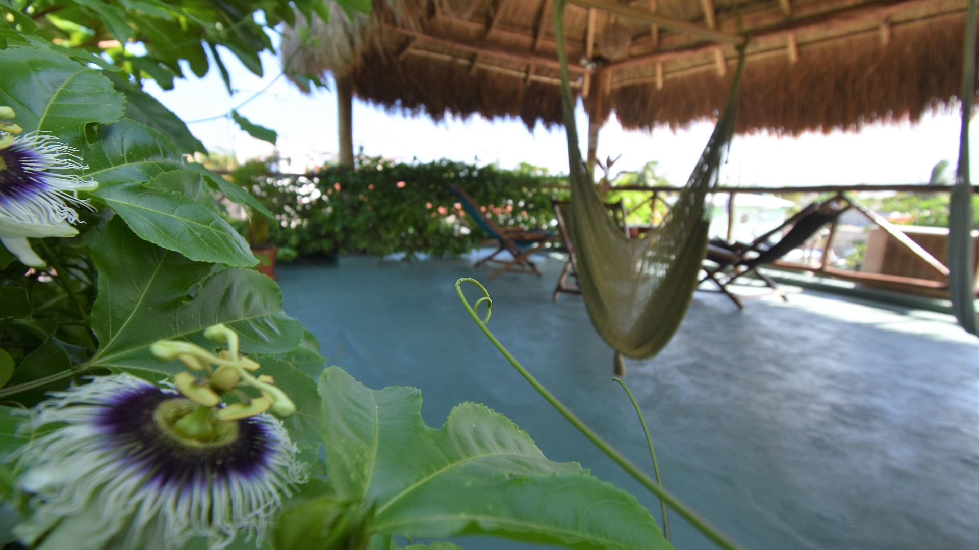 Casa Almendro Tulum